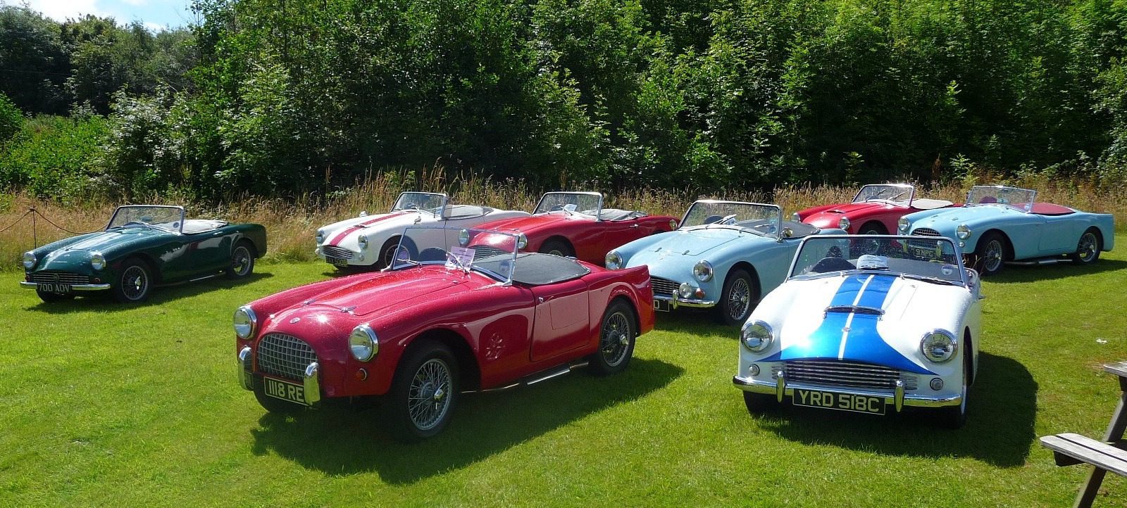Row of vintage convertible sports cars on grass